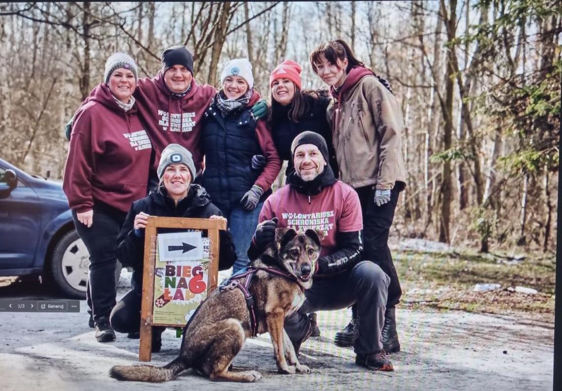 aktualność: Walentynkowy „Bieg na 6 łap”