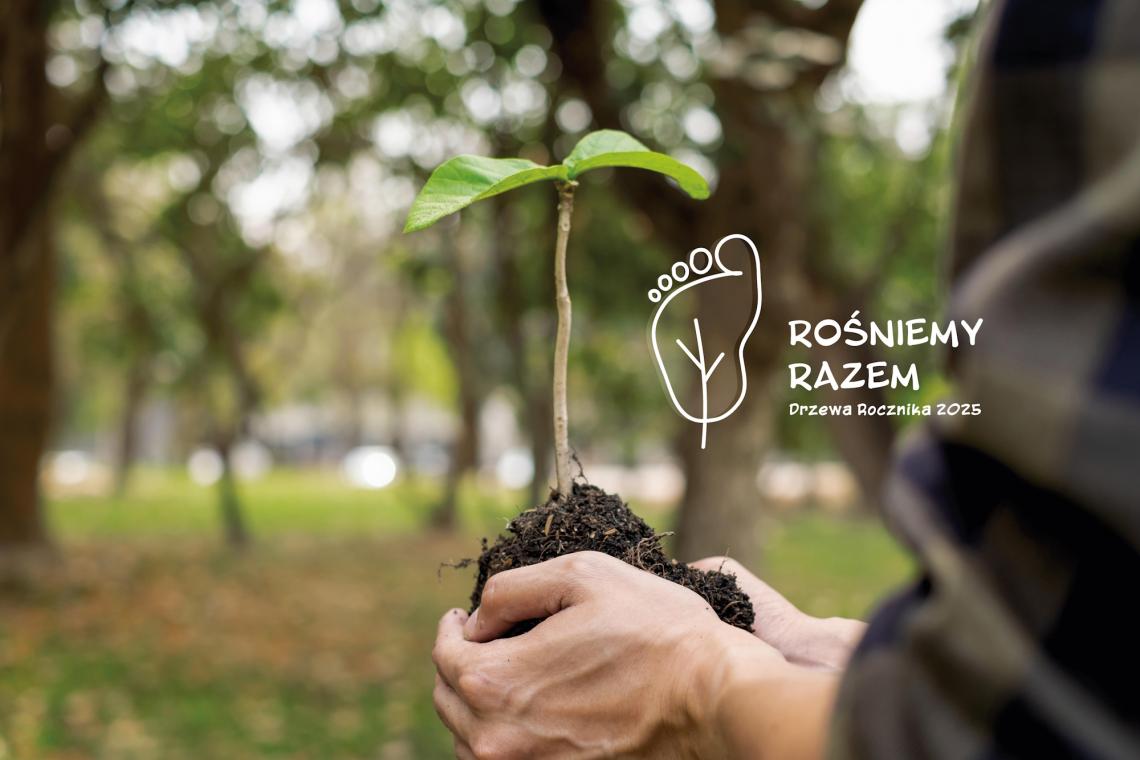 aktualność: W Gliwicach dzieci będą miały swoje drzewa! Są pierwsze zgłoszenia w niezwykłej akcji Rośniemy Razem