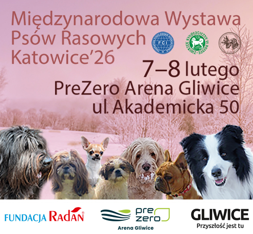 Grafika dedykowana wydarzeniu.