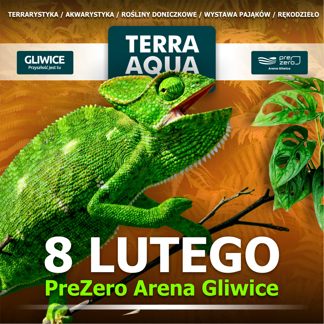 Grafika dedykowana wydarzeniu.